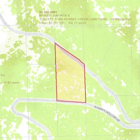 Property Parcel Map. Visualizing the boundaries and identifying characteristics of the property, including its dimensions and location