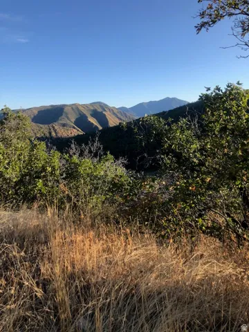 Expansive mountain landscape with diverse foliage and a clear horizon