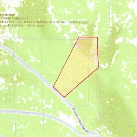 Property Tax Record. Displaying the property's parcel boundary, associated ownership, and assessed value