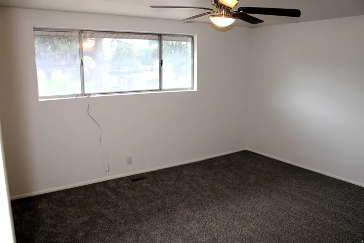 Neutral wall finishes, plush carpeting, ceiling-mounted fan with integrated lighting, and multiple windows