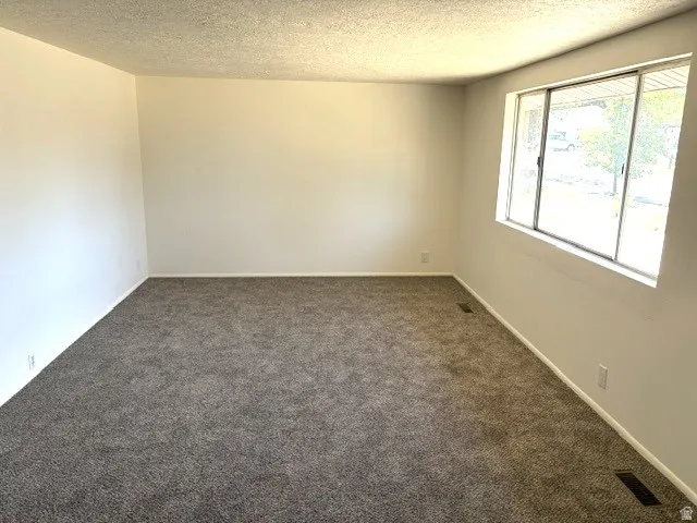 White walls, textured ceiling, gray carpet flooring, and a large window with white trim