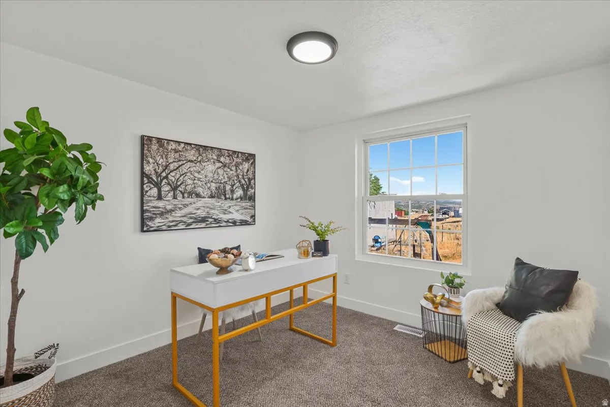 Bright room with a single pane window, flush-mount ceiling light, and carpet flooring