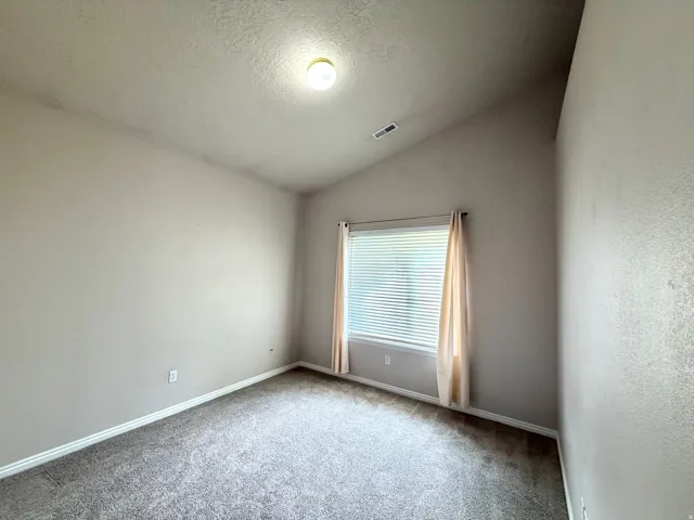 Vaulted ceiling with overhead lighting