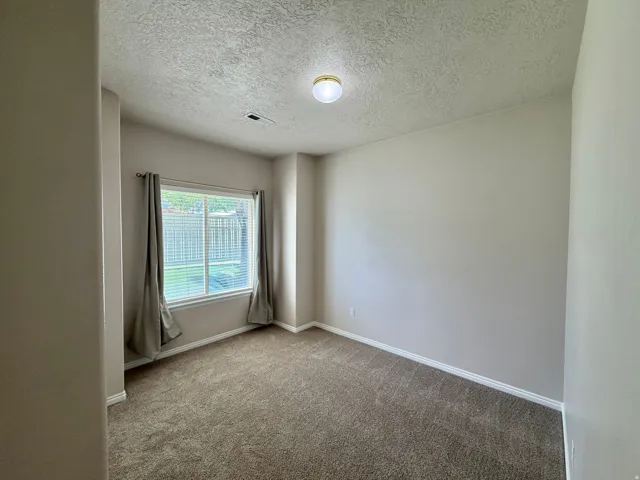 Neutral wall paint, carpeted flooring, large window with blinds, and ceiling-mounted light fixture