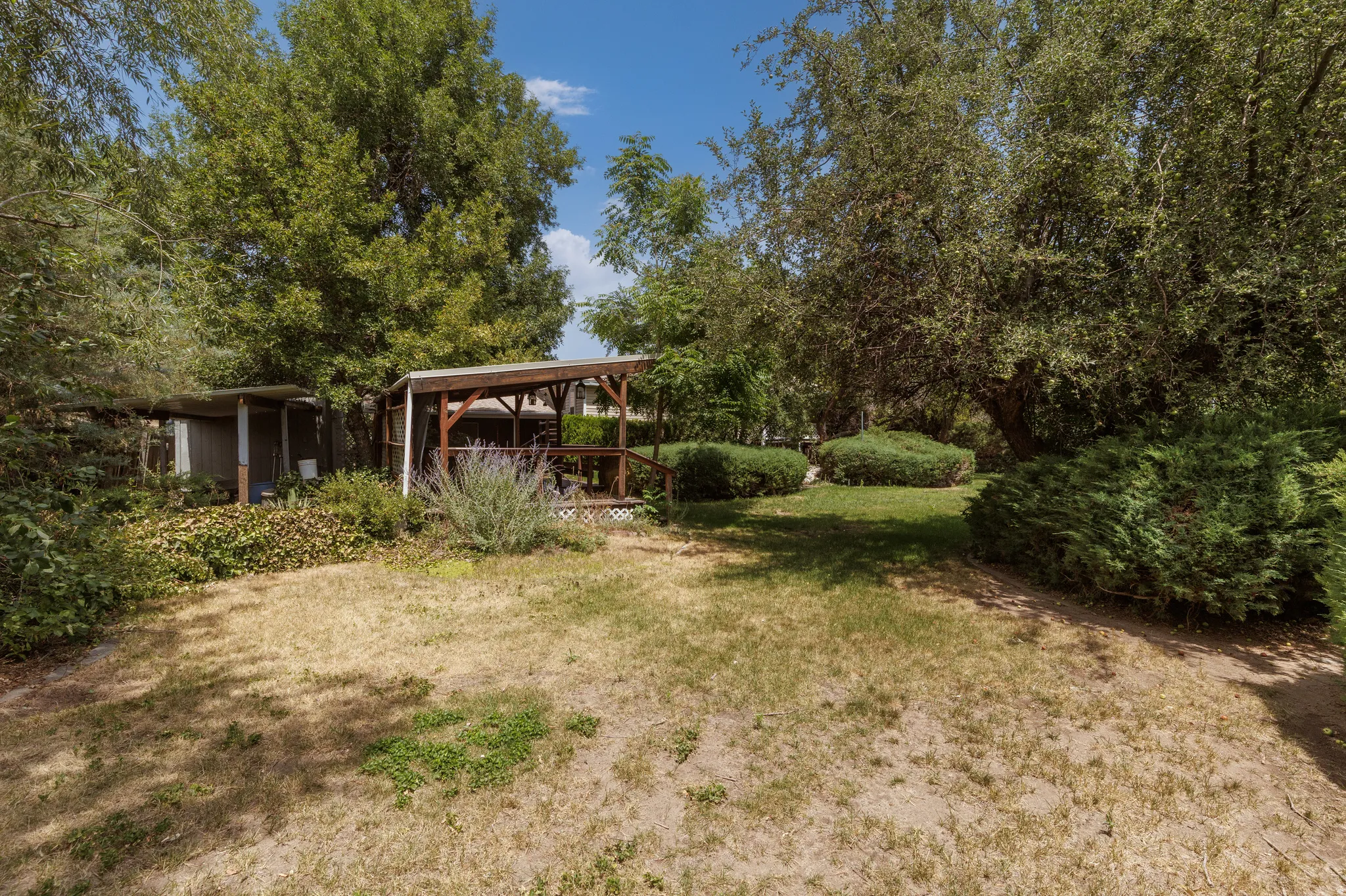Expansive outdoor space featuring a covered porch, wood decking, multiple mature trees, and established shrubbery