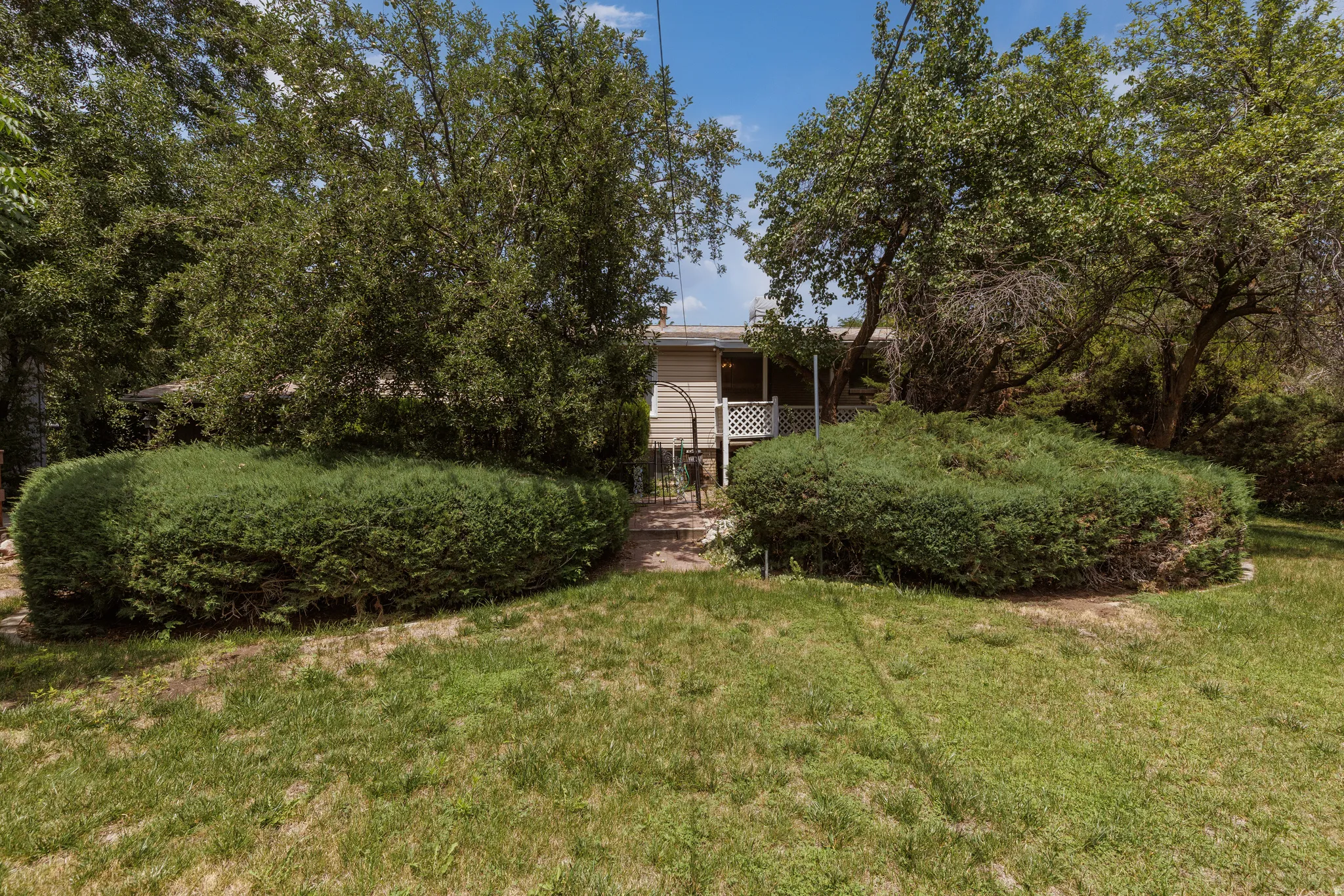 Expansive yard with mature trees providing extensive natural shading