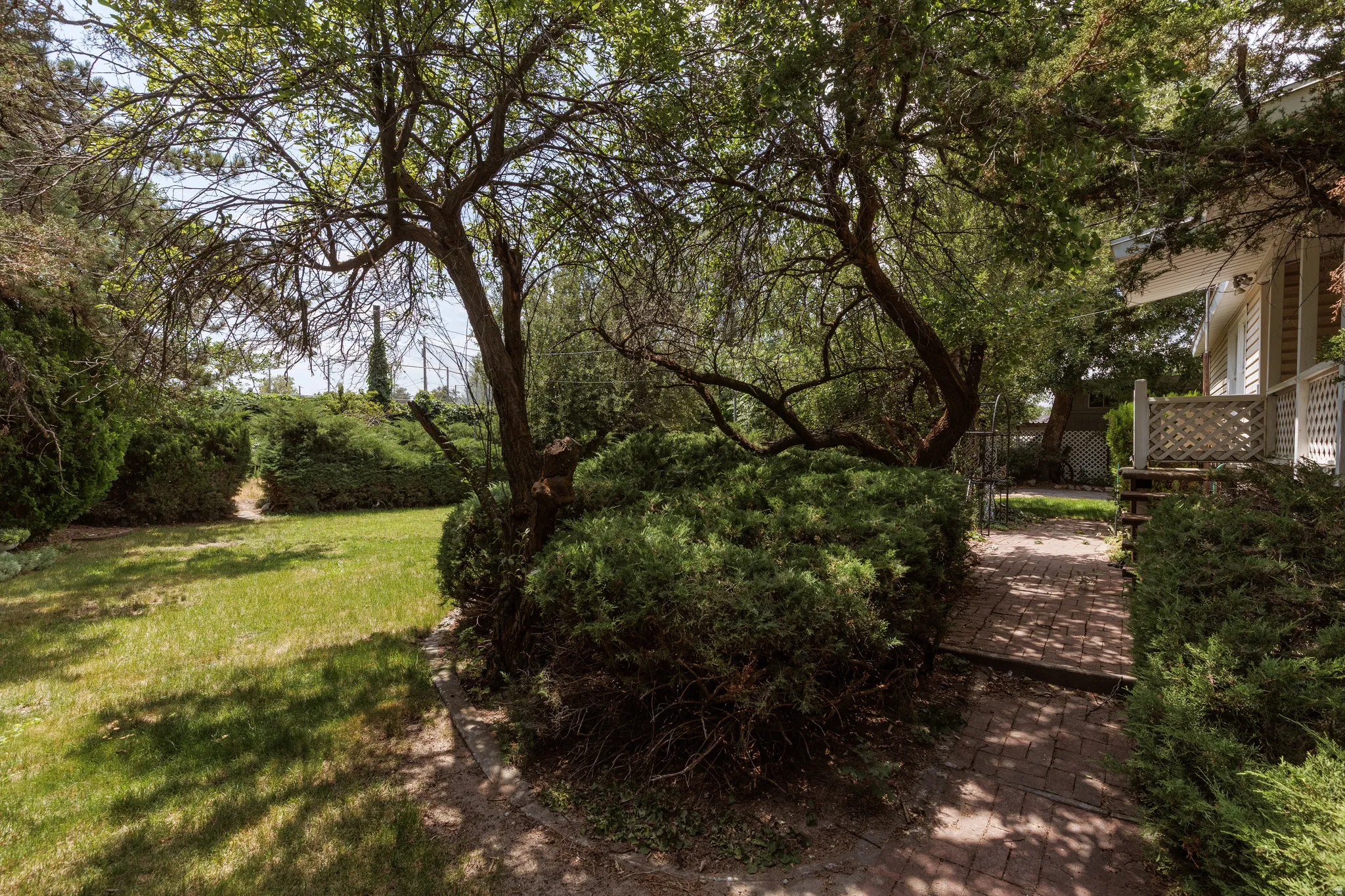Mature landscaping featuring a brick pathway and manicured shrubs