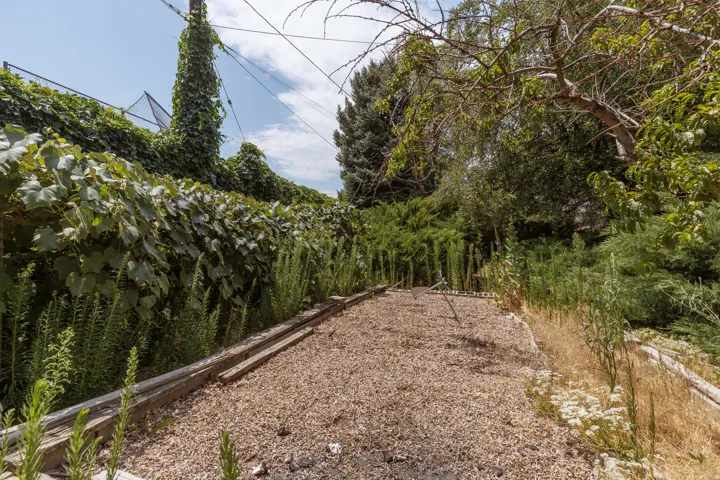 Gravel ground cover with a perimeter of mature greenery and established trees