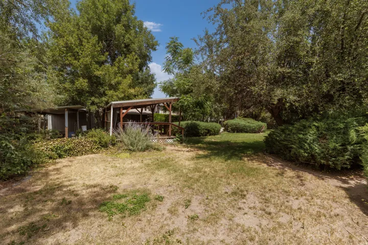 Expansive outdoor space featuring a covered porch, wood decking, multiple mature trees, and established shrubbery