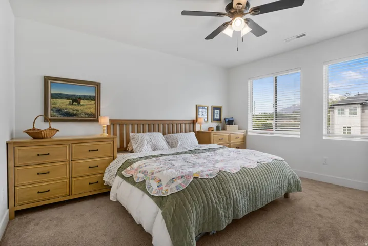 Dual windows featuring blinds, ceiling fan with light fixture, and neutral carpeting