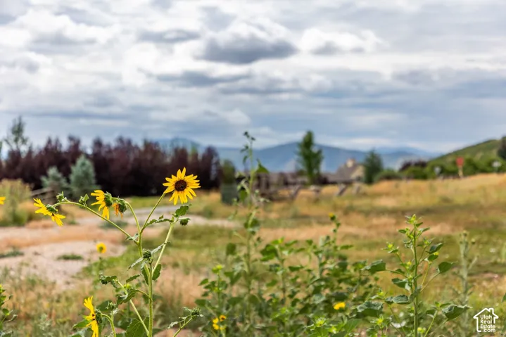 950 Swiss Alpine Rd, Midway, Utah 84049