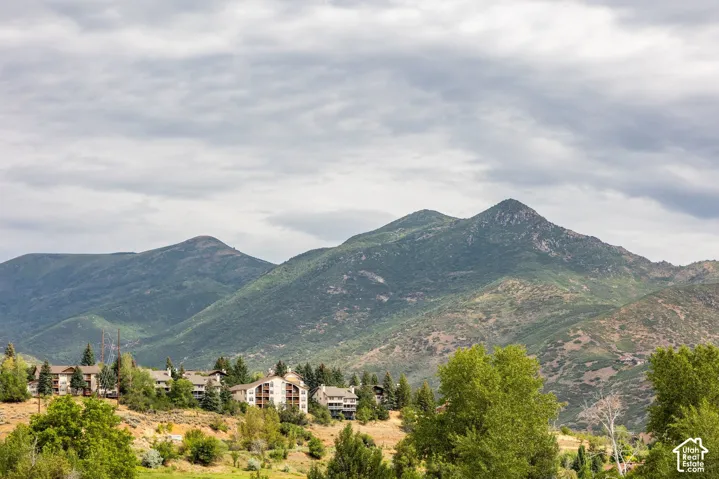 950 Swiss Alpine Rd, Midway, Utah 84049