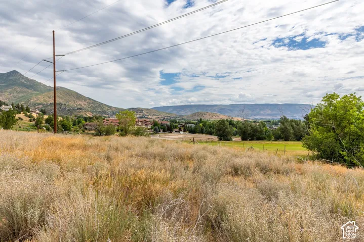 950 Swiss Alpine Rd, Midway, Utah 84049