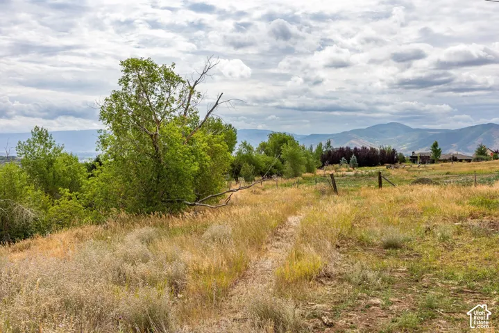 950 Swiss Alpine Rd, Midway, Utah 84049
