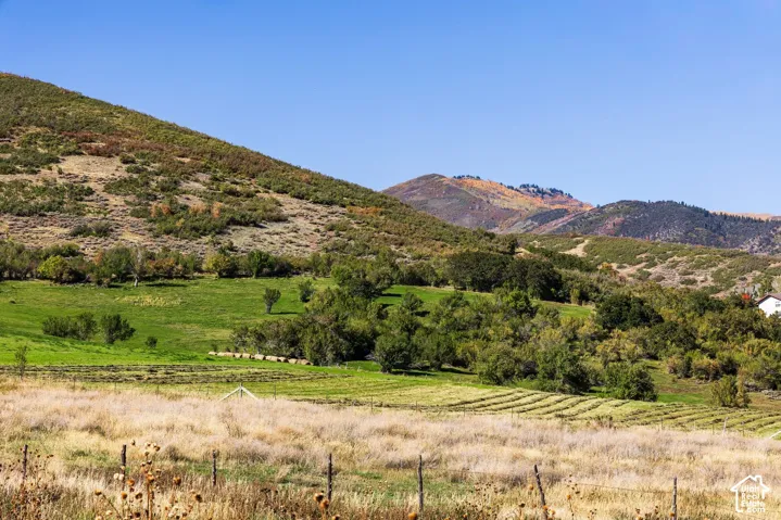 950 Swiss Alpine Rd, Midway, Utah 84049