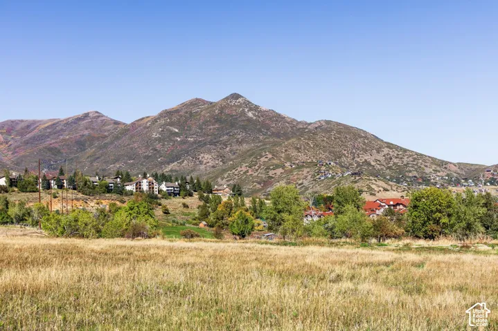 950 Swiss Alpine Rd, Midway, Utah 84049