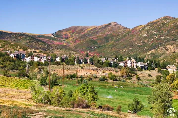 950 Swiss Alpine Rd, Midway, Utah 84049
