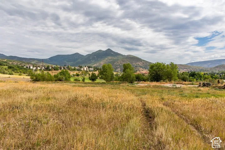 950 Swiss Alpine Rd, Midway, Utah 84049