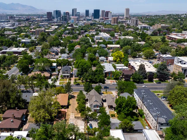 Urban skyline backdrop with mature tree canopy