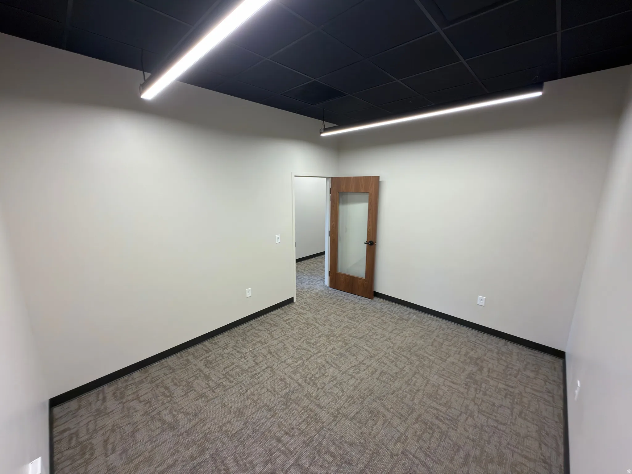 Neutral wall finishes, patterned carpet flooring, black grid ceiling, linear pendant lighting, and a wood-finish door with frosted glass