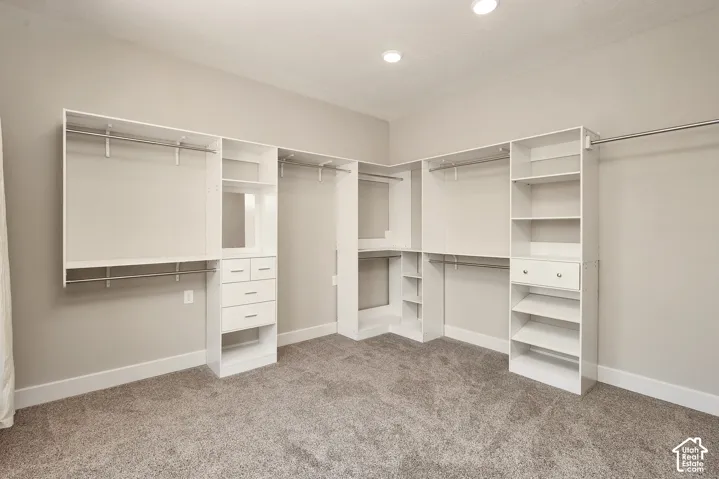 Primary suite with Custom closet system featuring multiple hanging rods, built-in shelving, and drawers