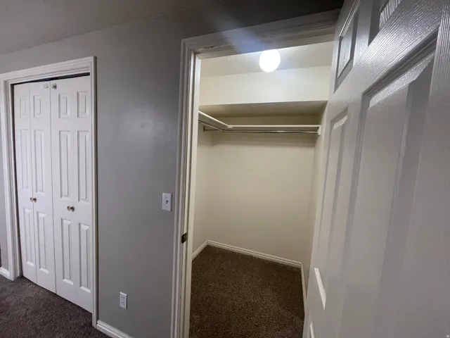Closet with a single shelf, hanging rod, and carpet flooring