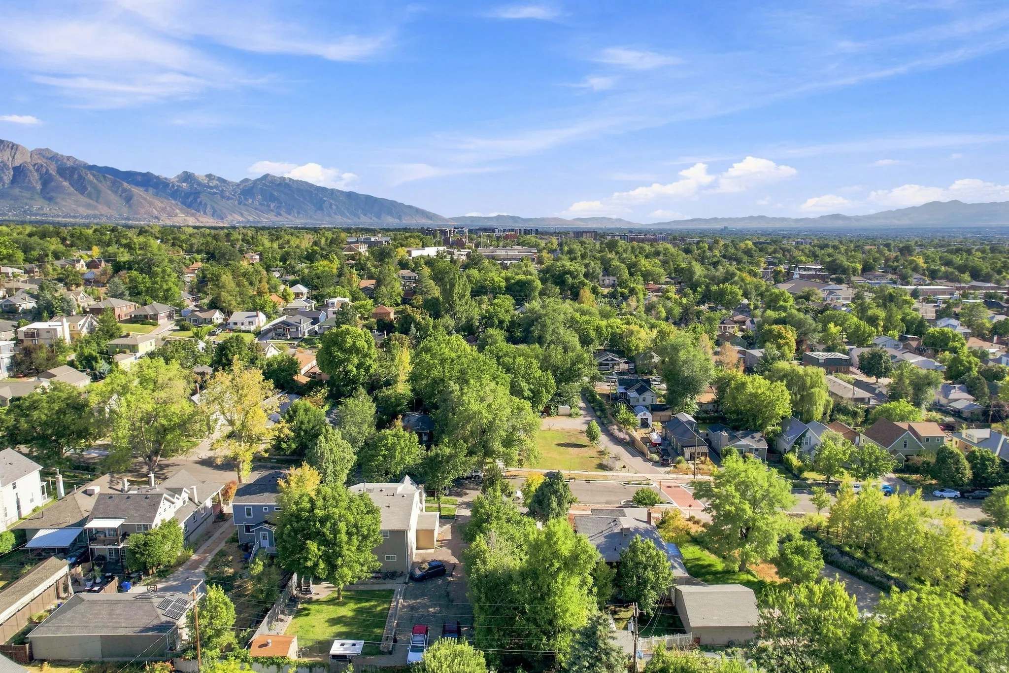 Expansive suburban landscape with abundant mature trees and a distant mountain range