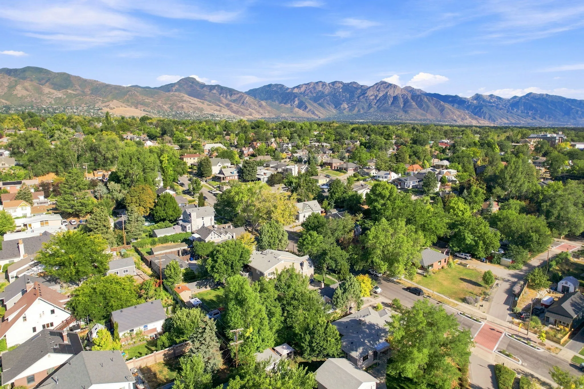 Expansive neighborhood with mature tree coverage and mountainous backdrop