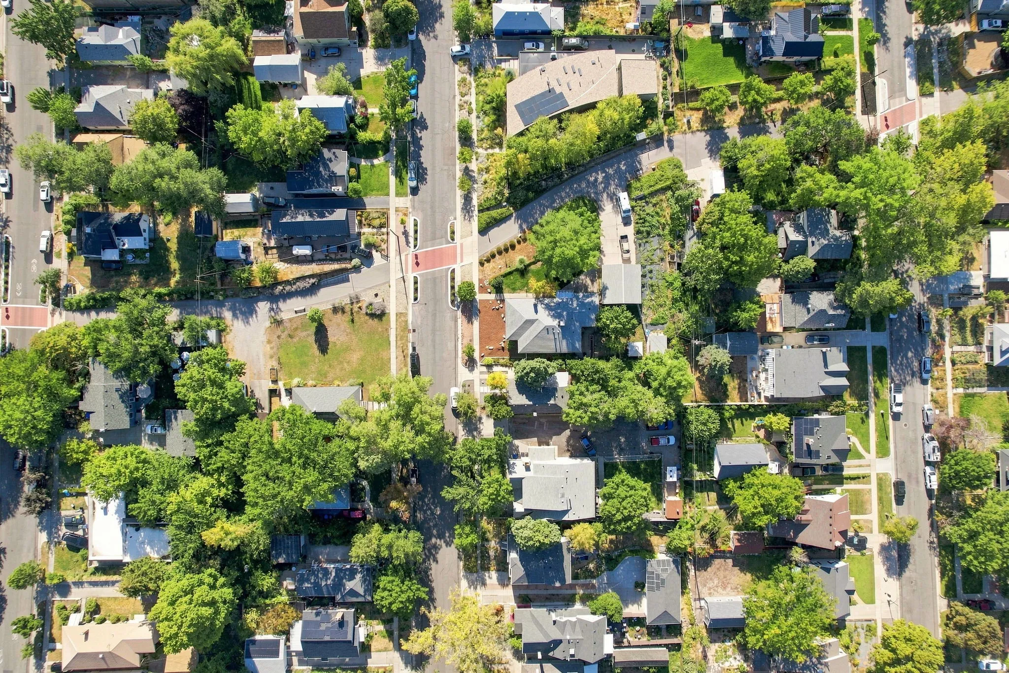 Residential neighborhood with mature tree canopy and established street grid