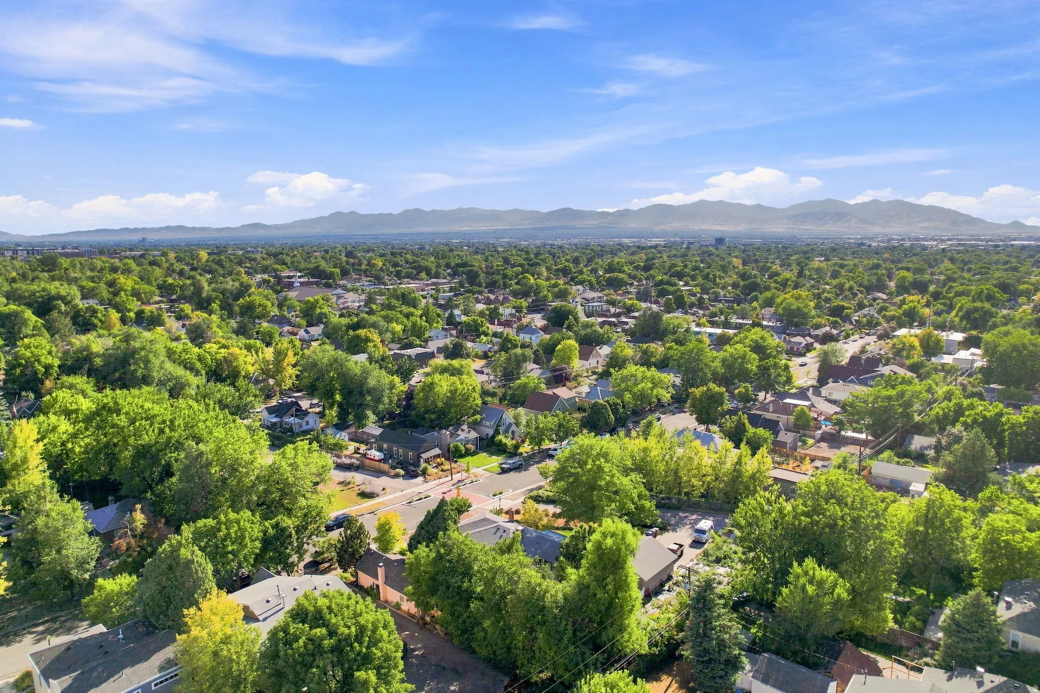 Expansive residential neighborhood featuring abundant mature trees and distant mountain ranges under a clear sky
