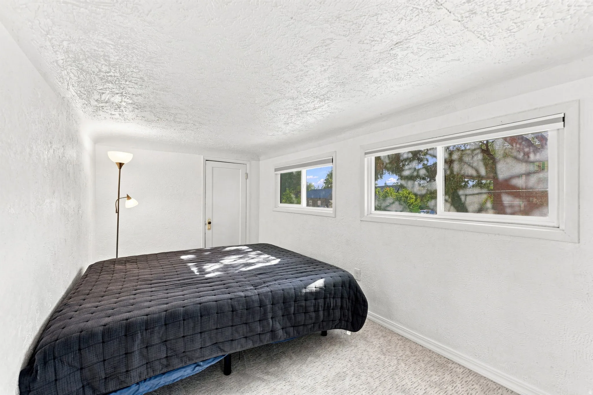 Two windows with white trim