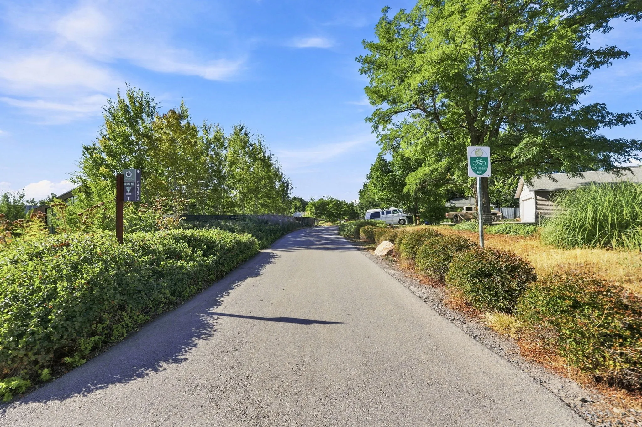 Paved pathway framed by mature trees and shrubs