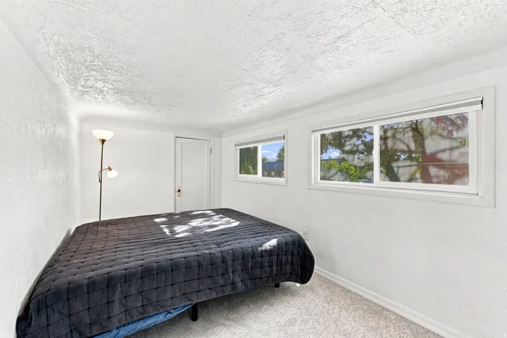Two windows with white trim