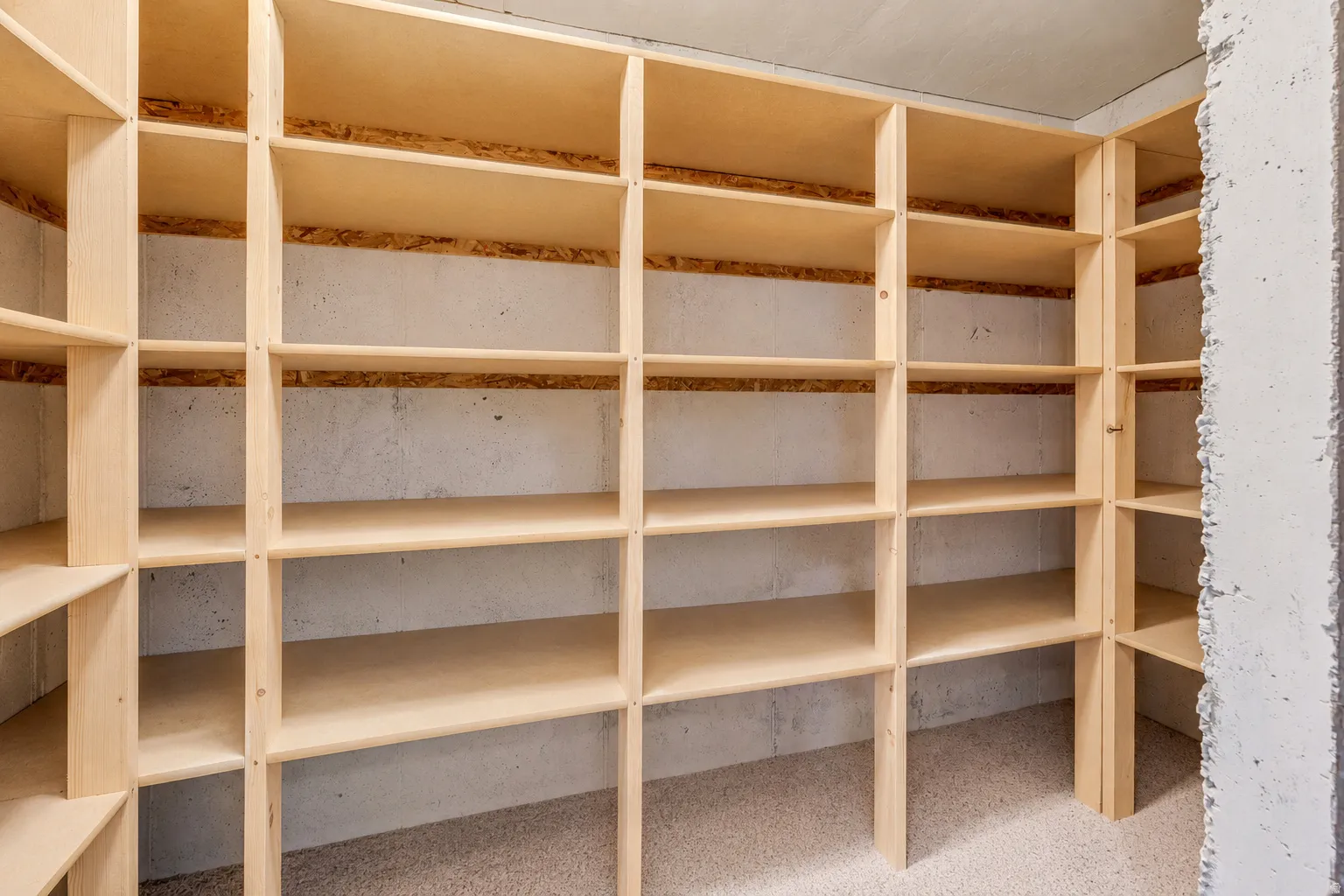 Abundant built-in shelving in the cold storage downstairs.