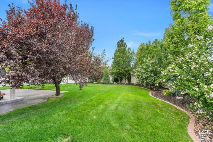Established trees and layered landscaping provide wonderful shade, greenery, and natural privacy throughout the backyard.