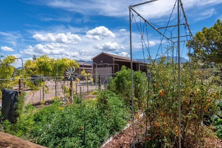 Established garden beds with mature plants and trellises