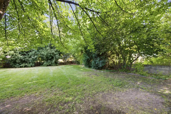 Expansive grassy yard with mature trees and established perimeter shrubbery