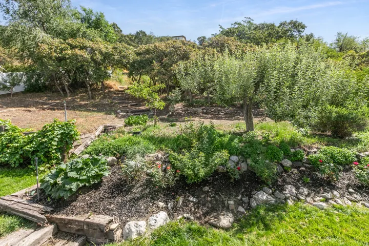 Terraced garden with mature trees, established plantings, and wooden garden steps