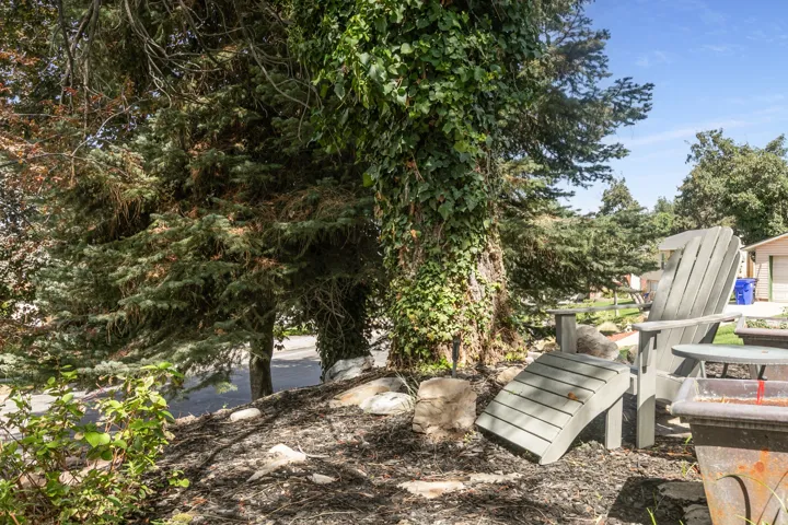 Mature trees with ivy coverage, natural rock hardscaping, and mulched ground cover