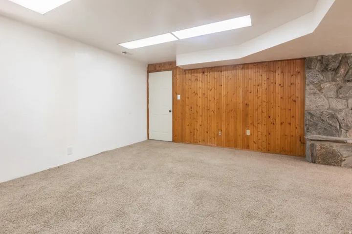 Recessed lighting, wood paneling, natural stone hearth, and plush carpeting