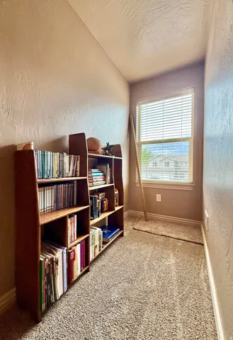 Textured walls, single window, horizontal blinds, and carpeting