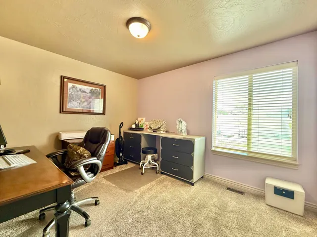 Carpeted room with a flush-mounted ceiling light fixture