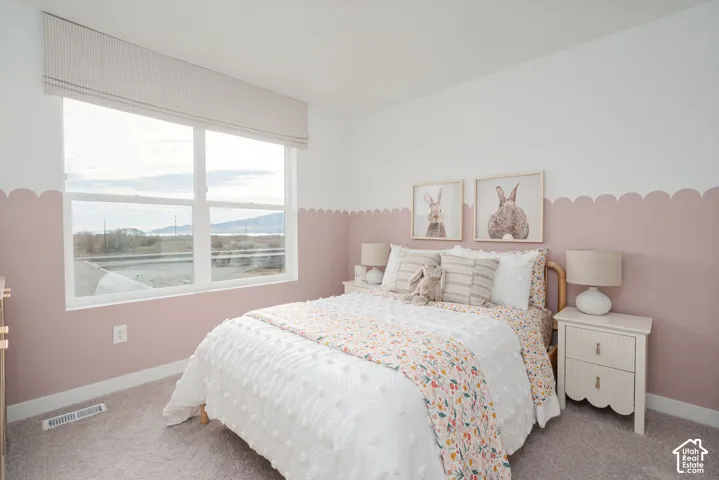 Wall-to-wall carpeting and a large window with a roller shade