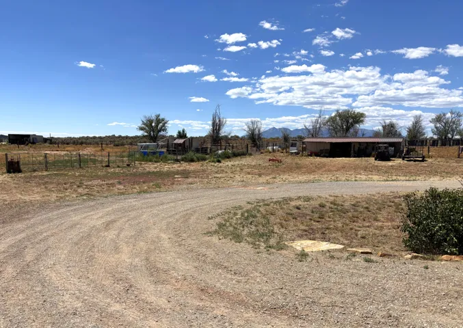 Gravel driveway with a mature shrub, open field, and distant structures