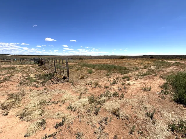 Expansive open land featuring natural desert vegetation
