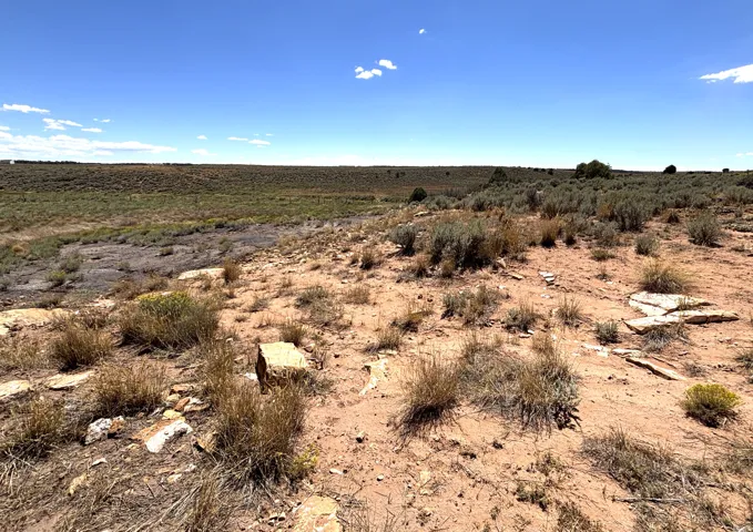 Expansive desert landscape featuring arid vegetation and geological formations under a clear sky