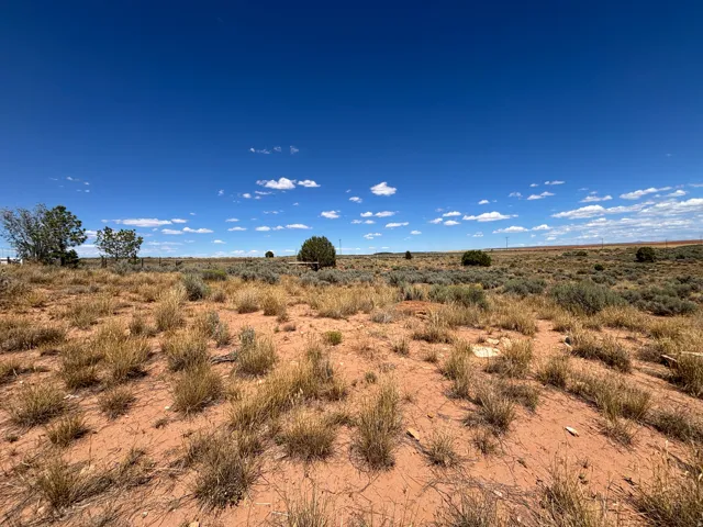 Expansive open terrain featuring natural desert flora and a clear blue sky