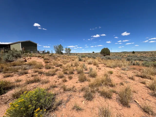 Expansive undeveloped land featuring natural desert vegetation and distant mountain ranges
