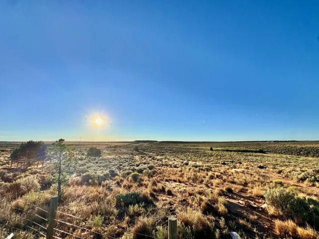 Expansive natural landscape with varied low-lying vegetation