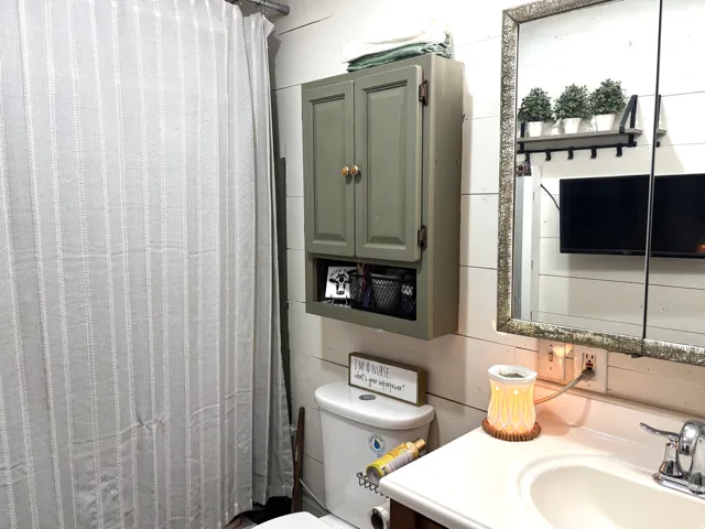 Shiplap wall paneling, built-in medicine cabinet, wall-mounted storage shelf with hooks, and a vanity with an integrated sink